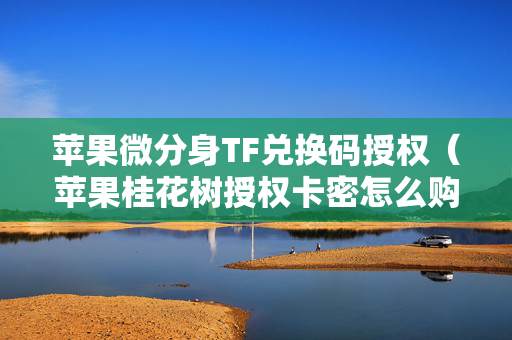 苹果微分身TF兑换码授权（苹果桂花树授权卡密怎么购买）