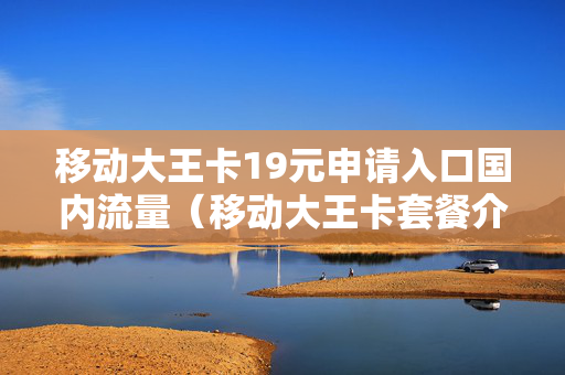 移动大王卡19元申请入口国内流量（移动大王卡套餐介绍19元怎么办理）