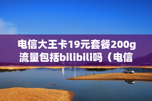 电信大王卡19元套餐200g流量包括bilibili吗（电信大王卡19元套餐多少流量）