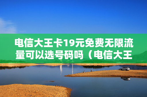 电信大王卡19元免费无限流量可以选号码吗（电信大王卡19元套餐免费的包括哪些软件）