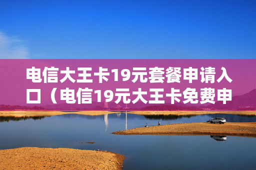 电信大王卡19元套餐申请入口（电信19元大王卡免费申请）