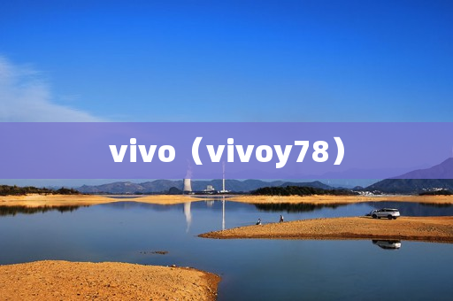 vivo（vivoy78）