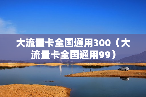 大流量卡全国通用300（大流量卡全国通用99）