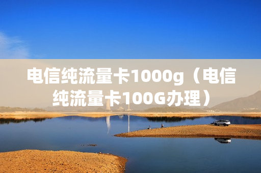 电信纯流量卡1000g（电信纯流量卡100G办理）