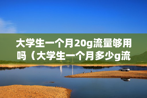 大学生一个月20g流量够用吗（大学生一个月多少g流量够用）