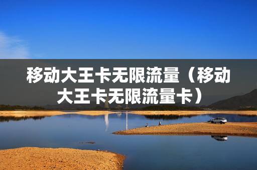 移动大王卡无限流量（移动大王卡无限流量卡）