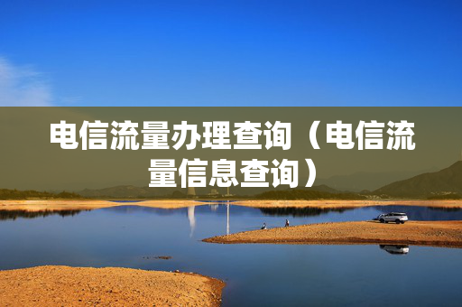 电信流量办理查询（电信流量信息查询）