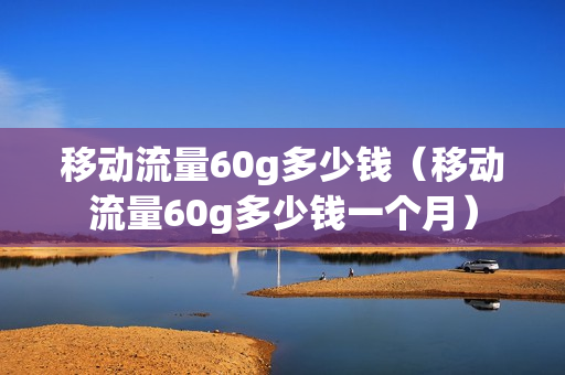 移动流量60g多少钱（移动流量60g多少钱一个月）