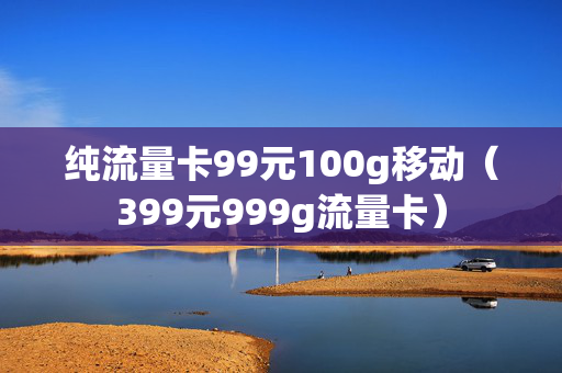 纯流量卡99元100g移动（399元999g流量卡）