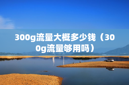 300g流量大概多少钱（300g流量够用吗）