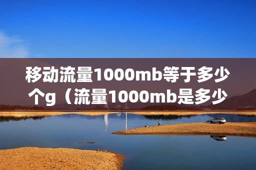 移动流量1000mb等于多少个g（流量1000mb是多少g）