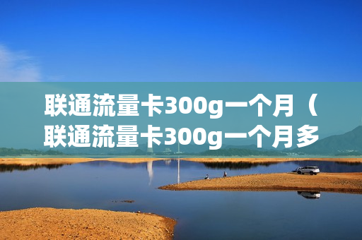 联通流量卡300g一个月（联通流量卡300g一个月多少钱）