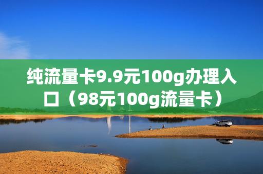 纯流量卡9.9元100g办理入口（98元100g流量卡）