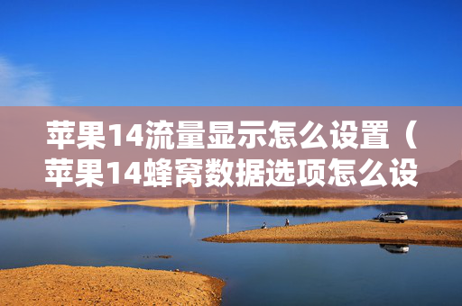 苹果14流量显示怎么设置（苹果14蜂窝数据选项怎么设置）