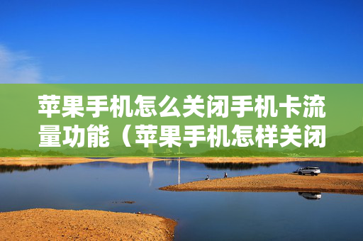 苹果手机怎么关闭手机卡流量功能（苹果手机怎样关闭手机流量）