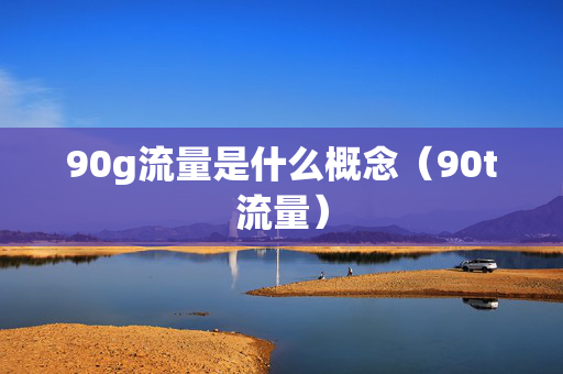 90g流量是什么概念（90t流量）