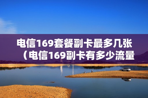 电信169套餐副卡最多几张（电信169副卡有多少流量）