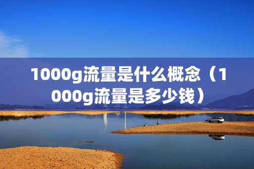 1000g流量是什么概念（1000g流量是多少钱）