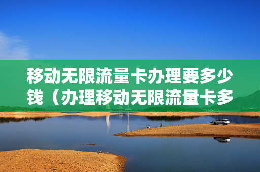 移动无限流量卡办理要多少钱（办理移动无限流量卡多少钱一个月）