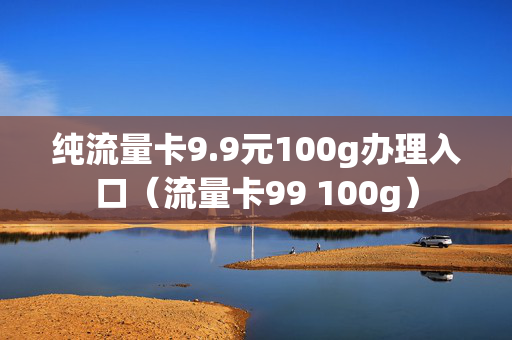 纯流量卡9.9元100g办理入口（流量卡99 100g）