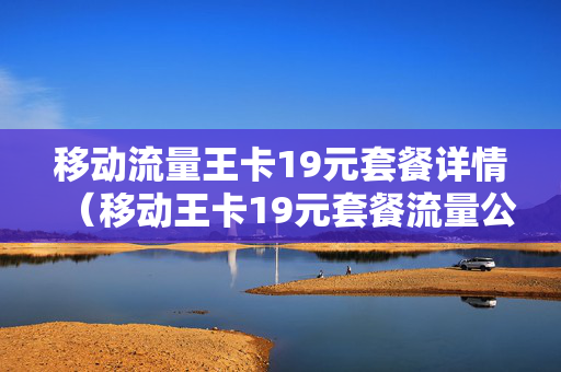 移动流量王卡19元套餐详情（移动王卡19元套餐流量公开版国内流量）