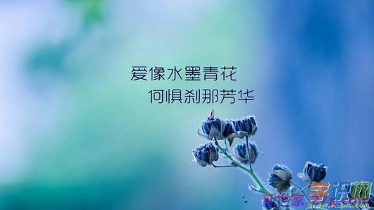 说说爱情霸气短句子(爱情心情说说短句子)