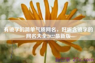 有镜字的简单气质网名，好听含镜字的网名大全2022最新版