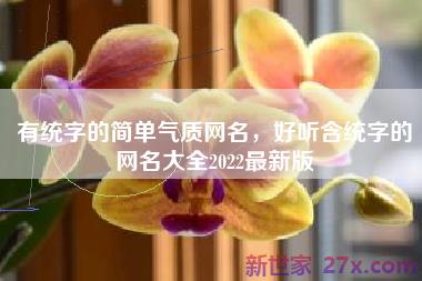 有统字的简单气质网名，好听含统字的网名大全2022最新版