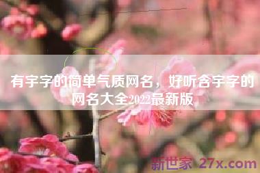 有宇字的简单气质网名，好听含宇字的网名大全2022最新版