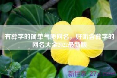 有葬字的简单气质网名，好听含葬字的网名大全2022最新版