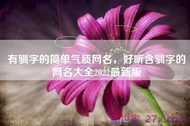 有驯字的简单气质网名，好听含驯字的网名大全2022最新版