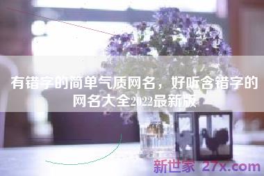 有错字的简单气质网名，好听含错字的网名大全2022最新版