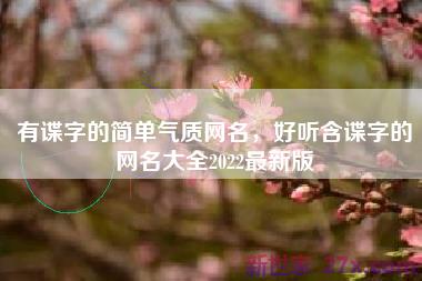 有谍字的简单气质网名，好听含谍字的网名大全2022最新版