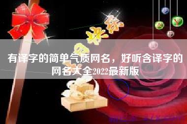 有译字的简单气质网名，好听含译字的网名大全2022最新版