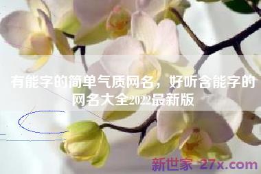 有能字的简单气质网名，好听含能字的网名大全2022最新版