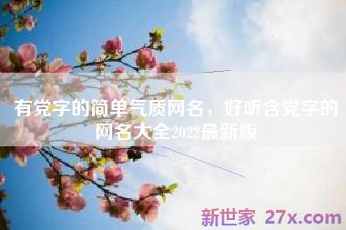 有党字的简单气质网名，好听含党字的网名大全2022最新版