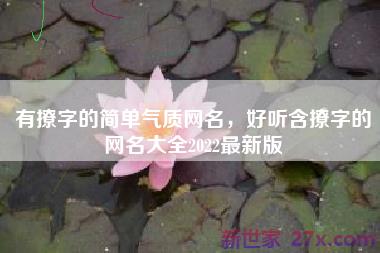 有撩字的简单气质网名，好听含撩字的网名大全2022最新版