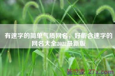 有速字的简单气质网名，好听含速字的网名大全2022最新版