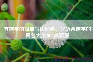 有描字的简单气质网名，好听含描字的网名大全2022最新版