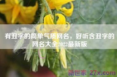 有丑字的简单气质网名，好听含丑字的网名大全2022最新版