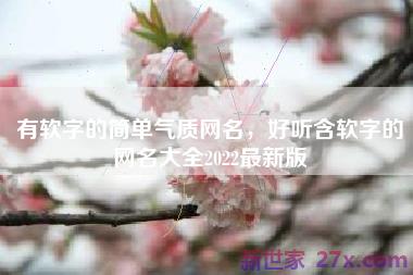 有软字的简单气质网名，好听含软字的网名大全2022最新版