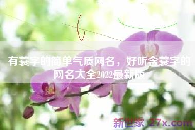 有蓑字的简单气质网名，好听含蓑字的网名大全2022最新版