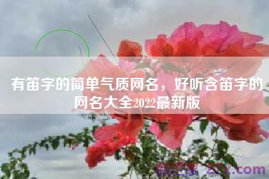 有笛字的简单气质网名，好听含笛字的网名大全2022最新版