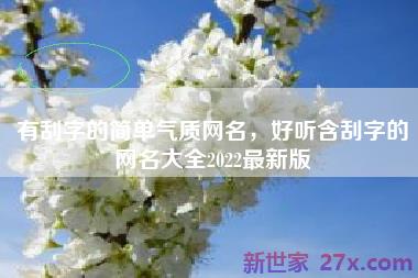 有刮字的简单气质网名，好听含刮字的网名大全2022最新版