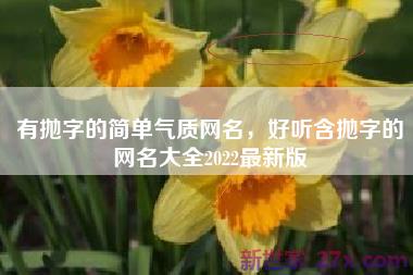 有抛字的简单气质网名，好听含抛字的网名大全2022最新版