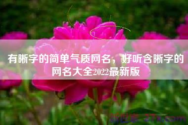 有晰字的简单气质网名，好听含晰字的网名大全2022最新版