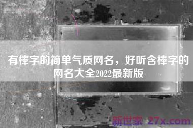 有棒字的简单气质网名，好听含棒字的网名大全2022最新版