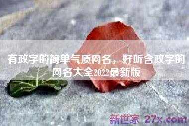 有政字的简单气质网名，好听含政字的网名大全2022最新版