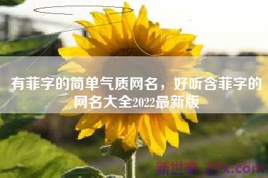 有菲字的简单气质网名，好听含菲字的网名大全2022最新版