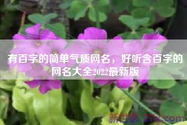 有百字的简单气质网名，好听含百字的网名大全2022最新版